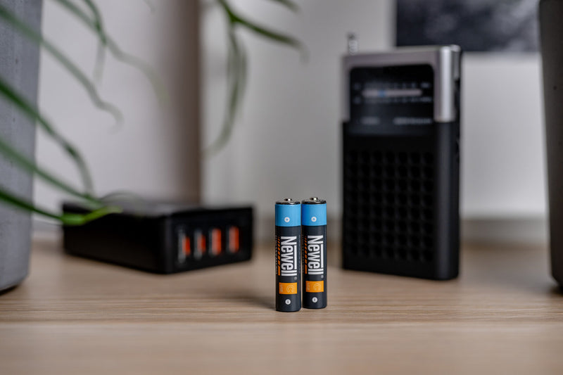 Newell AAA USB-C 500mAh Rechargeable Battery x2