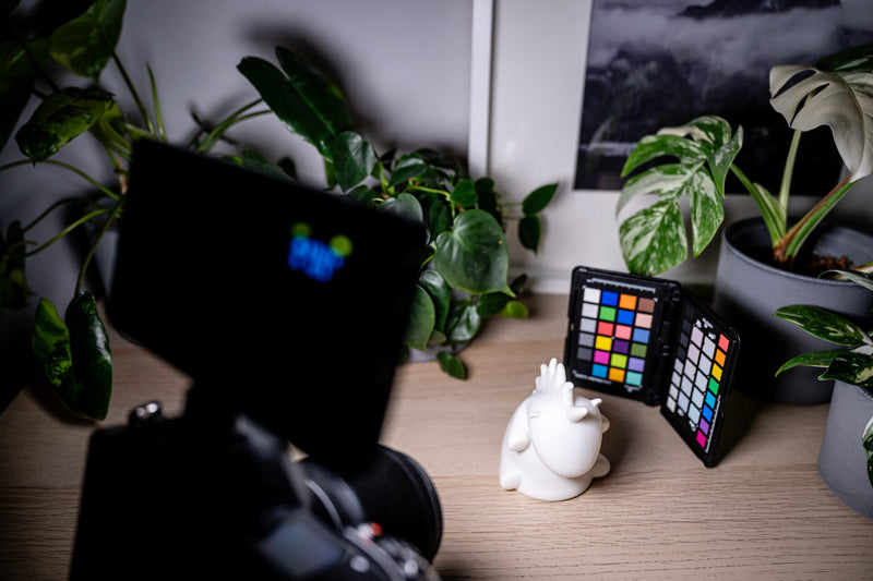 Newell RGB-W Rangha LED lamp diffuser