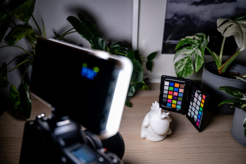 Newell RGB-W Rangha LED lamp diffuser