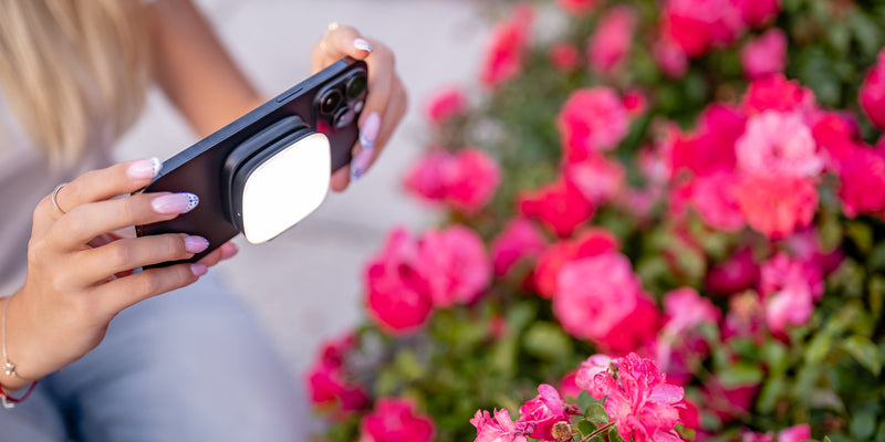 Newell Bella LED Light