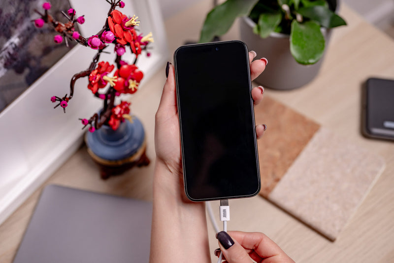 Newell USB-C 60W 2m Cable, White