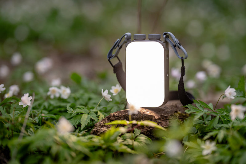 Newell RGB Nucleo LED Light