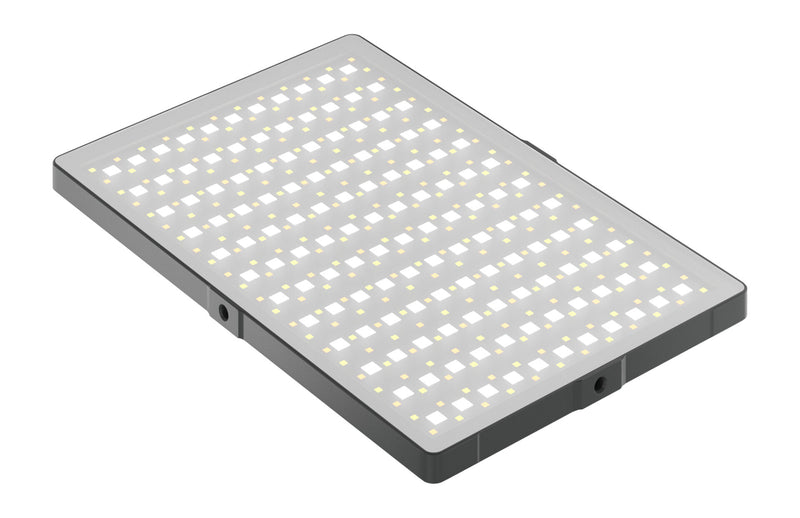 Newell Rangha Max XL RGB-W LED Light
