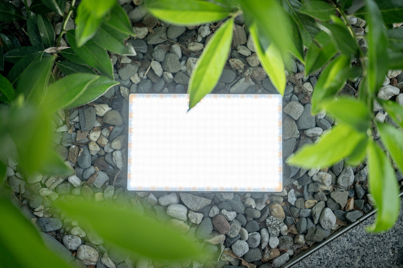 Newell Rangha Max XL RGB-W LED Light
