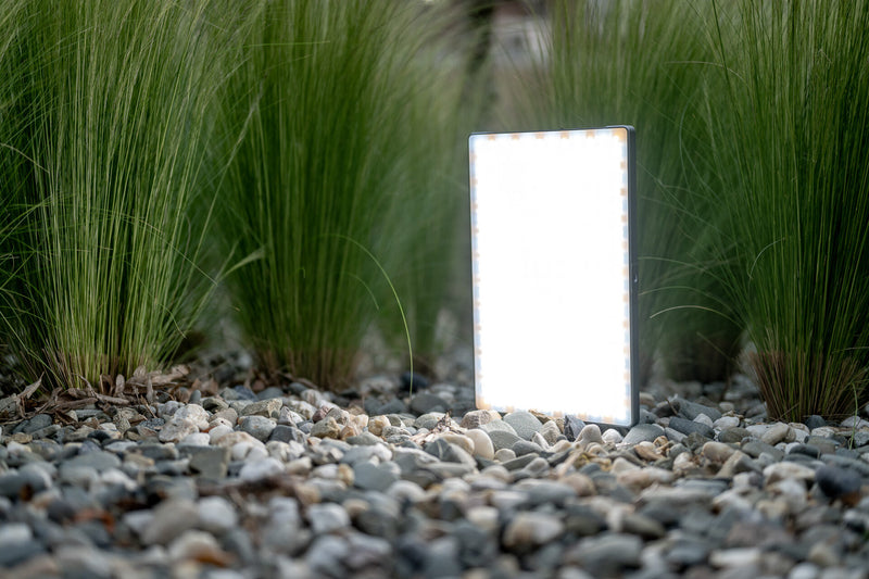 Newell Rangha Max XL RGB-W LED Light