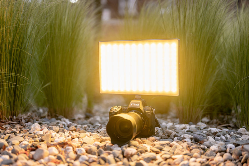 Newell Rangha Max XL RGB-W LED Light