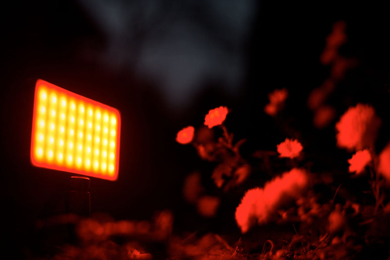 Newell Rangha RGB-W LED Light