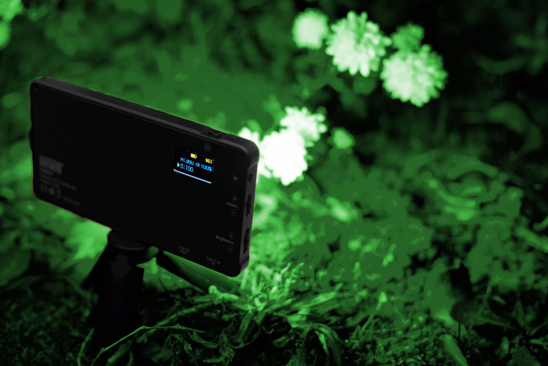 Newell Rangha RGB-W LED Light