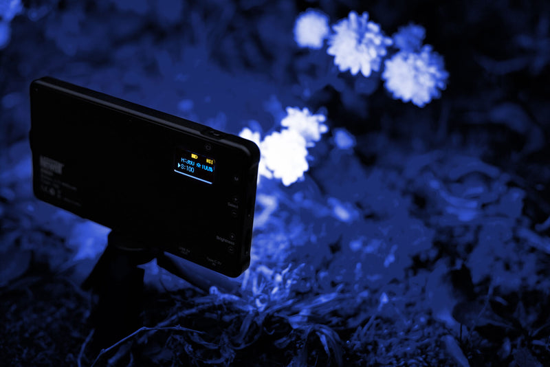 Newell Rangha RGB-W LED Light