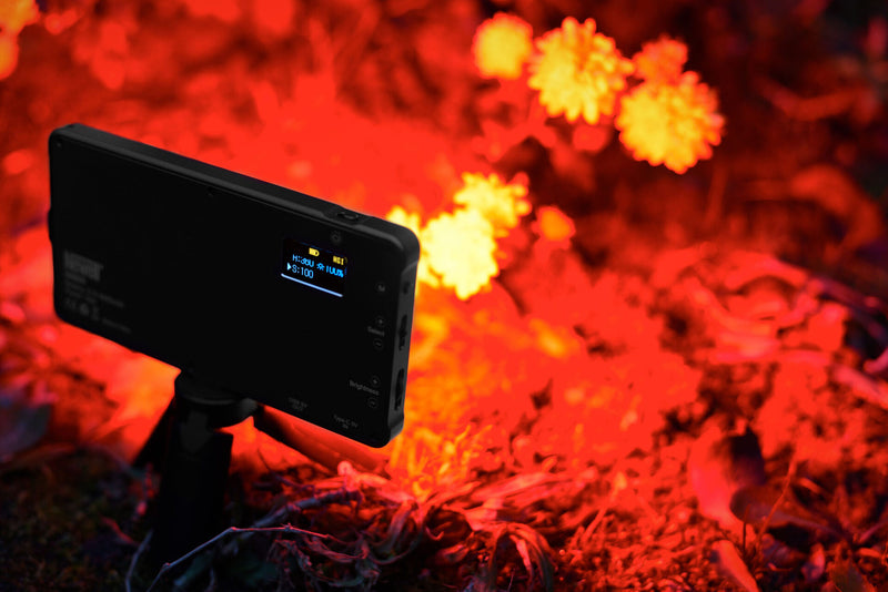 Newell Rangha RGB-W LED Light