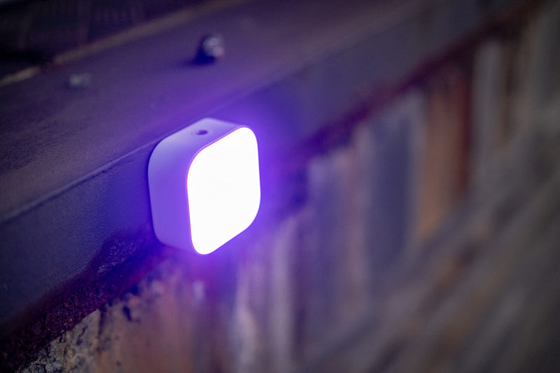 Newell Cutie Pie RGB LED White