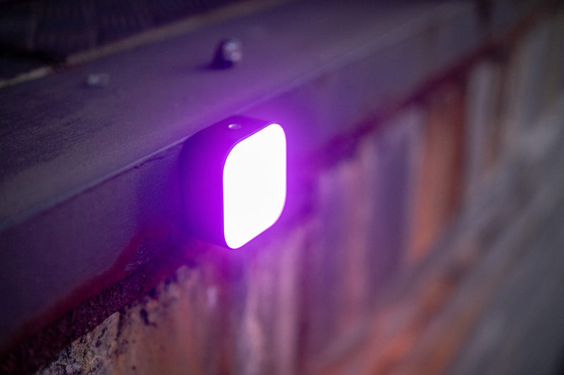 Newell Cutie Pie RGB LED Black