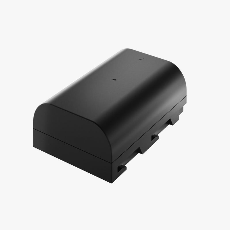 Newell Battery DMW-BLF19E for Panasonic